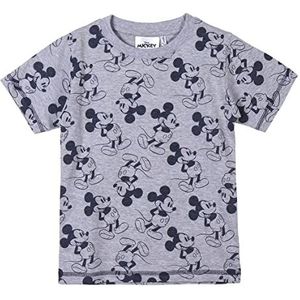 CERDÁ LIFE'S LITTLE MOMENTS - Mickey Mouse zomer T-shirt voor jongens - Officieel Disney-gelicentieerd product, Grijs, 6 Jaren