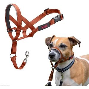 Company of Animals HALTI Halster, om te voorkomen dat uw hond aan de riem trekt. Verstelbaar, reflecterend en licht, met gevoerde neusband, Burnt Orange, 1