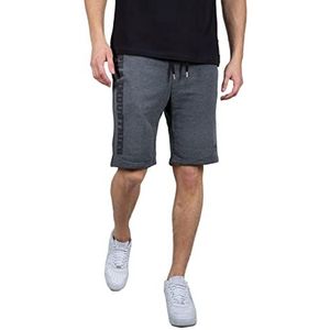 Alpha Industries Big Letters Shorts, charcoal heather, 3XL