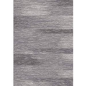 Universal Hedendaagse tapijt Amber Degraded Grijs, 100% polypropyleen, 160 x 230 cm