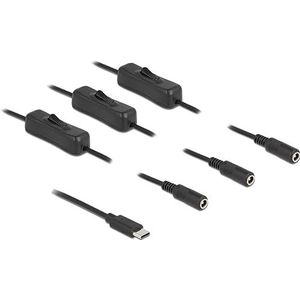 Delock Kabel USB Type-C™ stekker naar 3 x DC 5,5 x 2,1 mm aansluiting met schakelaar 1 m