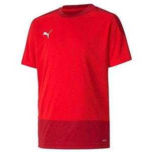 PUMA Kinder teamGOAL 23 Training Jersey Jr T-shirt, Red-Chili Pepper, 176