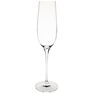 Olympia Campana Champagne Glas 26cl ( Set van 6 )