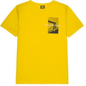 BVB T-shirt nostalgie, shirt geel, katoen in conversie, stadionjubileum 50 jaar, maat M, geel, M