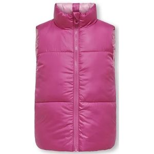 only carmakoma Kognewricky Rev. Waistcoat CP Otw gewatteerd vest voor meisjes en meisjes, Raspberry Rose/Detail: Begonia Pink, 152