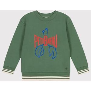 Petit Bateau Sweatshirt voor kinderen en jongens, Blauw, 5 jaar