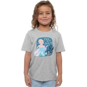 Disney Frozen Frozen Elsa Own Your Destiny T-shirt voor meisjes, grijs, 3-4 jaar, Grijs, 3-4 Jaren
