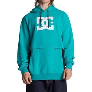 DC Shoes Bandwidth Sweatshirt met capuchon voor heren