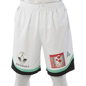 Peak Elan Béarnais 2017-2018 Basketbalshorts voor heren, XXXS groen