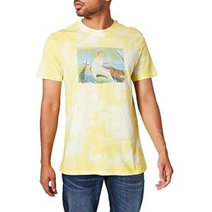 Desigual T-shirt voor heren, geel, M