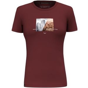 Salewa Dames Pure Design Dry T-Shirt Women Pure Design Dry T-Shirt W. (1 stuk)