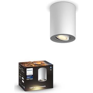 Philips Hue Pillar Opbouwspot 1-Lichts - Warm tot Koelwit Licht - Duurzame LED Verlichting - Dimbaar - Verbind met Bluetooth of Hue Bridge - Werkt met Alexa en Google Home - Wit