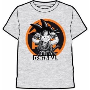 Last level T-shirt voor merk, model Dragon Ball Goku kinderen grijs L