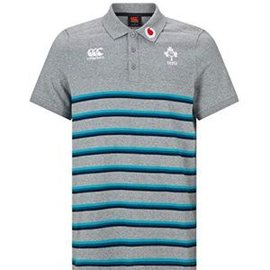 Canterbury heren officiële Ierland 18/19 katoen streep Rugby Polo