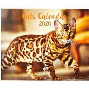 Collins Kattenkalender 2020
