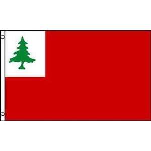 AZ FLAG Vlag van New Engeland 90 x 60 cm – Vlag New Engeland – Yankee 60 x 90 cm – vlaggen