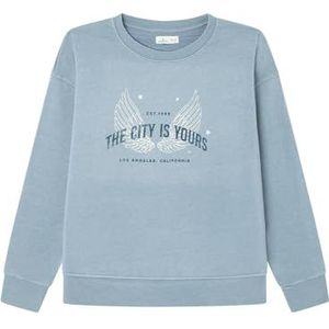 SPRINGFIELD Sweatshirt voor dames, standaard blauw, S