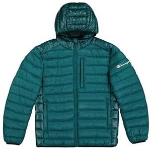 Champion Legacy Outdoor (220340) - WR Light Nylon Cirè 35g Small Script Logo Hooded Jacket, Flesgroen (HLG/NBK), L Heren FW24, Groene fles (HLG/NBK), L