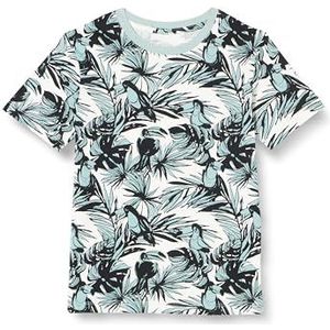 JACK&JONES JUNIOR JORARUBA Convo AOP Tee SS Crew NEC MNI, Gray Mist, 110 cm