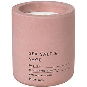 blomus - RAGA Geurkaars L van sojawas, Withered Rose, hoogwaardige kamergeur, karakteristieke betonlook, geur SEA SALT & SAGE, 55 uur brandduur (H/B/D