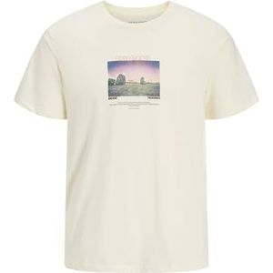 JACK & JONES Jjryu Tee Ss Crew Neck, antiek wit., S