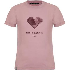 Salewa - Kid's Graphic Dry S/S Tee - Sportshirt - Roze - 85% Polyester, 15% Katoen