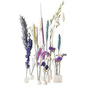 BloomPost Bloom & Clay Blue - Droogbloemen - Klei (250 g) + 2 x spatel - Lengte droogbloemen: +/- 30cm - Uniek Brievenbus Cadeau