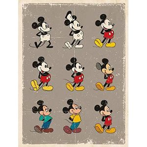 Piramide International Mickey Mouse (Evolutie) -Canvas Print 30 x 40cm