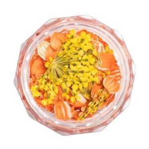 Semilac - Flower Flakes - Nageldecoratie - Goud/Oranje - Droogbloemen