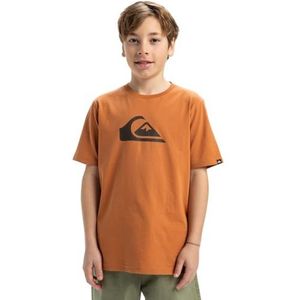 Quiksilver T-shirt voor jongens Ev Comp Logo Ss Yth (pak van 1)