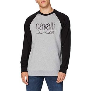 CAVALLI CLASS Herentrui - grijs - x-large