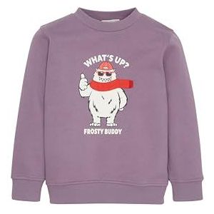 TOM TAILOR Sweatshirt voor jongens en kinderen, 32259 - Grijs Paars, 92/98 cm