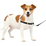 PetSafe Easy Walk-tuigje, anti-trek-hondenharnas, vermindert verstikking en hoesten, met 1,8 m riem, maat S, zwart