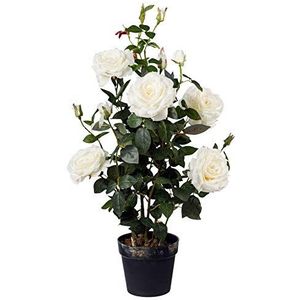Gasper Kunstplant rozenstruik in kunststof pot, kleur: crème, in de hoogte: 48 cm, 3019006-48