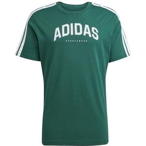 adidas Heren CODES COLLEGIATE LINEAR GRAPHIC T-SHIRT, collegiate green, XS