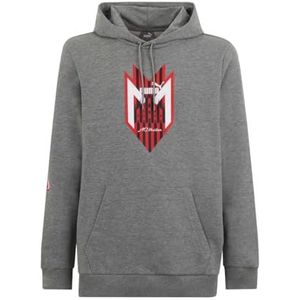 AC Milan AC Milan Sweatshirt met capuchon Ftlbicons, grijs, volwassenen, M