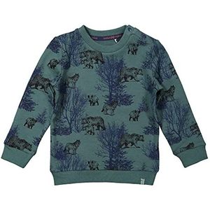 Koko Noko Jongens sweater, groen en marineblauw, 0 maanden