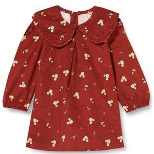 Koton Babygirl Peter Pan Collar Long Sleeve Flower Printed Pleated Dress, Bruin design (5d1), 12-18 maanden