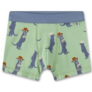 Sanetta jongens ondergoed, groen, 80