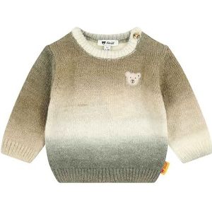 Steiff Trui EU maat 62, Sesam, trui met lange mouwen, kindertrui, warm en comfortabel, wasmachinebestendig, sesam, 62