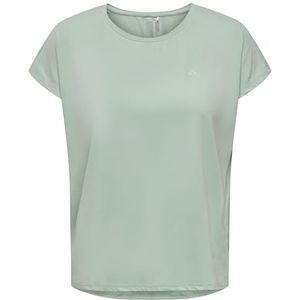 ONLY Onpaubree SS Loose Train Tee-Noos T-shirt, voor dames, vorstgroen, XL