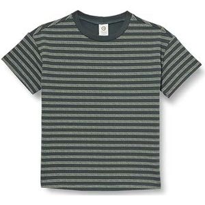Müsli by Green Cotton Jongens Stripe Sweat Big S/S T T-shirt, Balance Green/Poetry Green, 128
