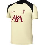 Nike - Strike Special Edition - Voetbaltop - Zwart - Dri-FIT