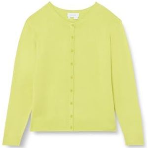 Jalene Dames Cardigan 15426712-JA03, lichtgroen, XXL, lichtgroen, XXL