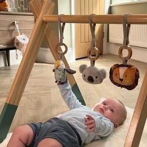 Nuby - Houten Animal Adventures Babygym met interactieve accessoires - Houten speelgoed voor baby - Speelgoed voor de babykamer - Meerkleurig - 0+ maanden