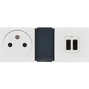 Legrand leg99605 stopcontact + oplader 2 USB mozaïek, wit