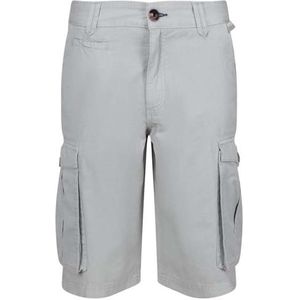 Regatta Shoreby Shorts voor heren, Grijs, 42W