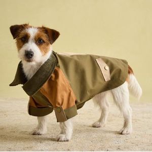 Rosewood Joules Kennington Jas voor honden, kleine, wasbare lichte jas, regen-/waterbestendige hondenjas voor kleine honden