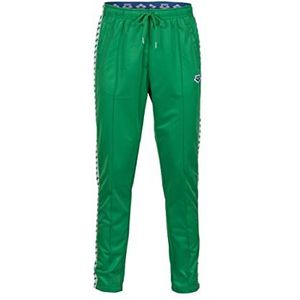 ARENA Relax Iv Team Joggingbroek voor heren, groen/wit/teamgroen, L
