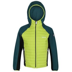 Regatta Kielder Hybrid V, Heldere Kiwi/Pacific Groen/Zwart, 5 Jaren